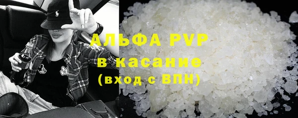 индика Приозерск